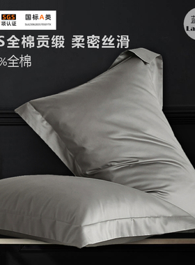 50x80纯棉枕套100全棉灰色一对枕头套亚42x70朵中号40x60枕套一只