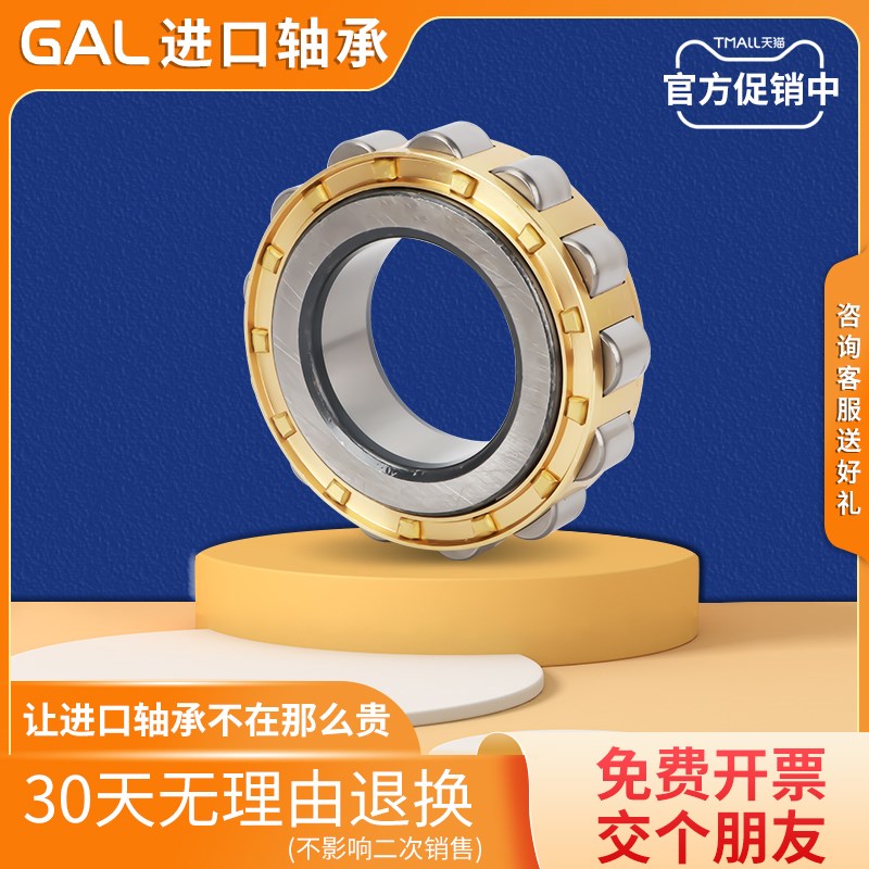 日本GAL进口圆柱滚子轴承NU1004 NU1005 NU1006 NU1007 NU1008EM