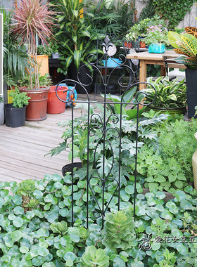 铁艺架子 庭院花园装饰铁线莲月季植物爬藤架花插片高1.2米 1.5米