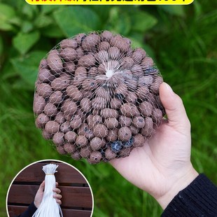 陶粒垫底网兜种花种多肉尼龙袋火山石鱼缸网袋花盆养花收纳袋透气