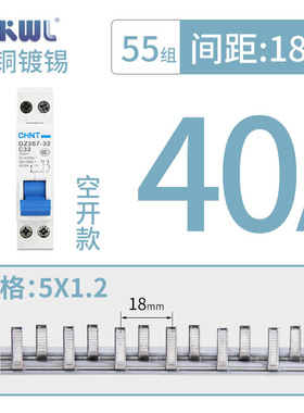 1P+N漏电断路器25A32A40A50A63A空气开关DPN单P两极紫铜汇流排