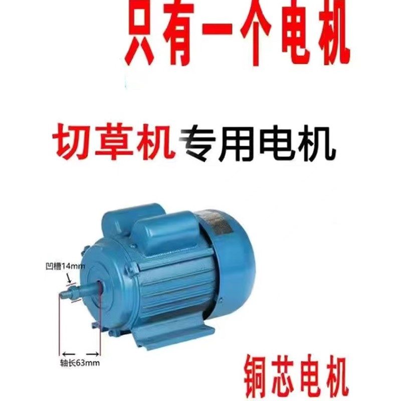 电动切草机猪草机粉碎机碎草机铡草机家用养殖牛羊小型饲料机双刀