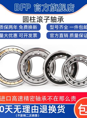 日本BFP进口圆柱滚子轴承RN311 312 313 315 319EM/P5型号大全