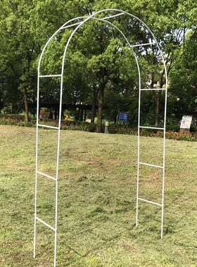 铁线莲月季拱形拱门花架爬藤架攀爬绿植物支架杆葡萄架户外庭院