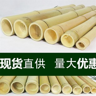 竹竿防腐庭院装饰户外搭架青黄白竹彩旗跳舞栅栏篱笆围栏竹杆竹子