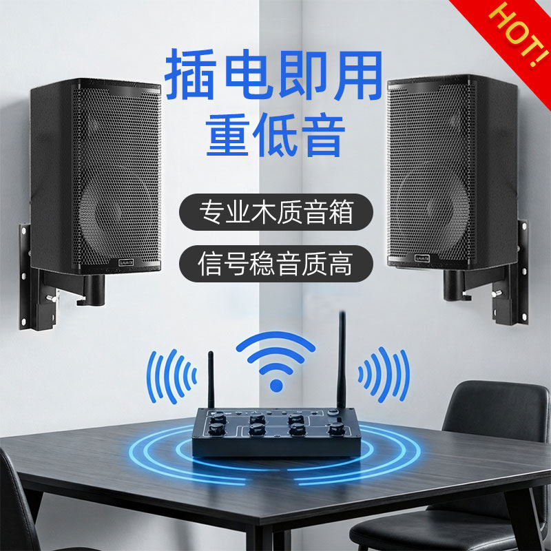 音箱壁挂店铺专用重低音健身房舞蹈室会议室带话筒麦克风无线音响