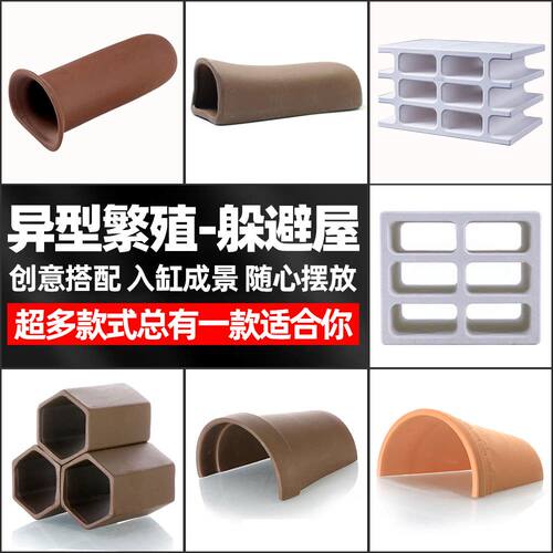 异型鱼繁殖罐鼠鱼大帆胡子鱼