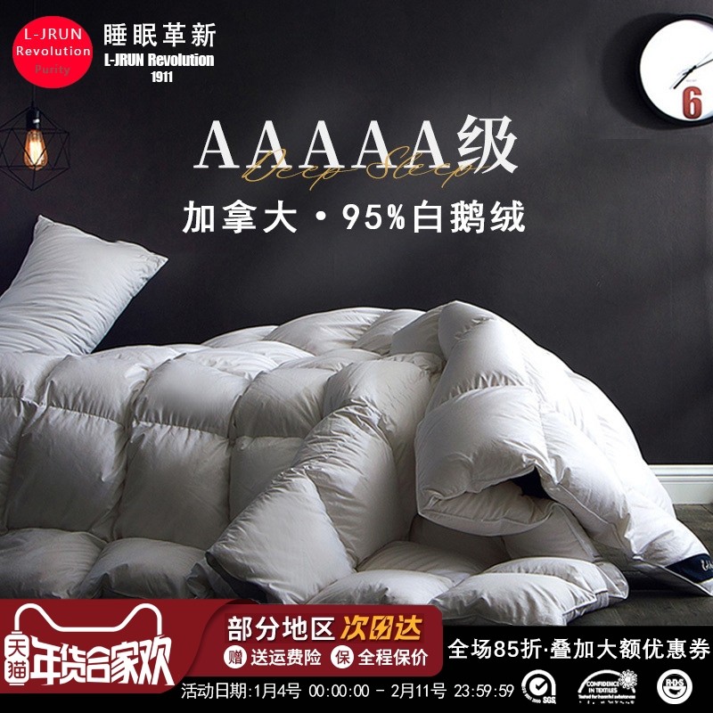 加拿大进口羽绒被95白鹅绒五星级酒店春秋绒丝被芯冬被子加厚保暖