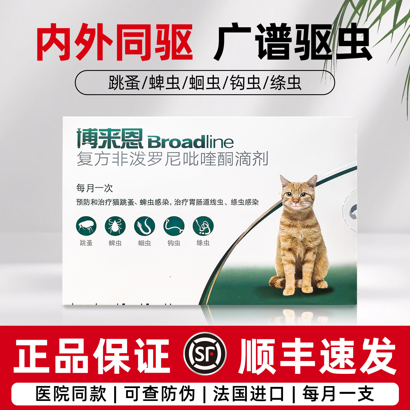 博来恩内外同驱2.5-7.5KG猫咪