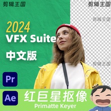 pr抠像插件人工智能绿幕抠视频ae遮罩抠图VFX Suite 2024中文版