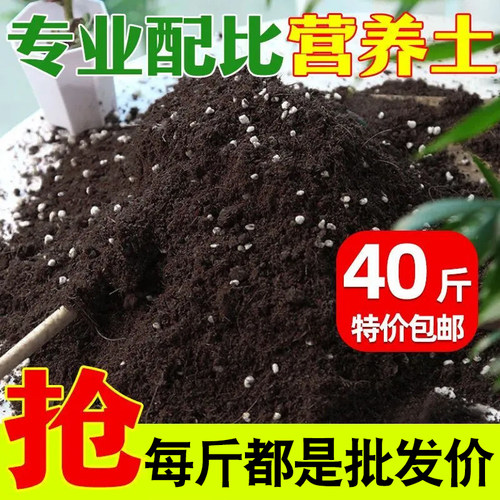 种菜种花营养土养花绿植通用型肥料土壤种菜家用有机花泥花土专用