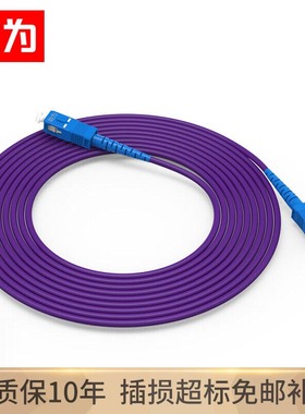 胜为 电信级铠装光纤跳线 SC-SC 单模单芯3米 防鼠咬室内抗拉尾纤缆 FSCK-1030