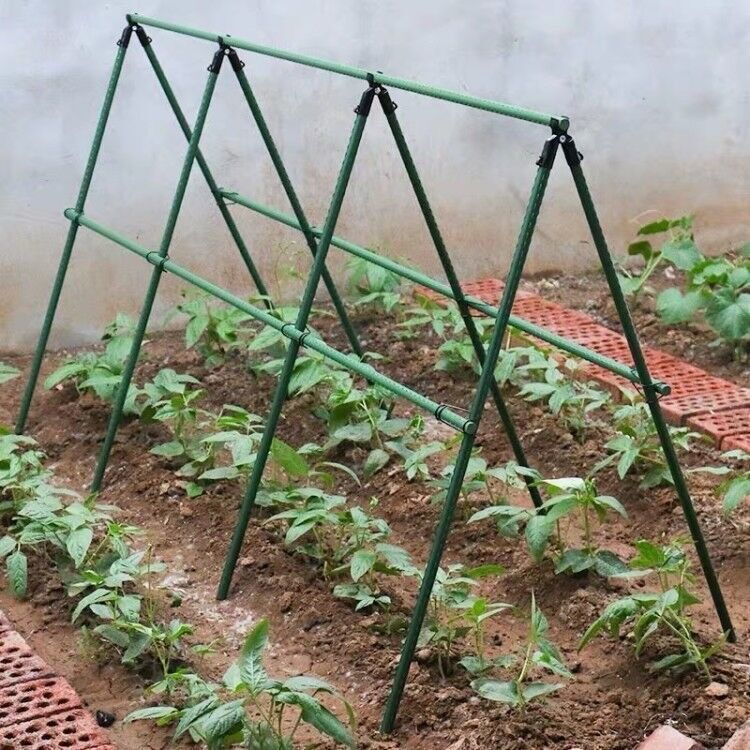 黄瓜架子种菜豆角丝瓜葡萄爬藤架花园藤架子花支户外架