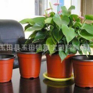 加厚双色盆一次性家用塑料育苗盆苗圃种植盆 生态生态种植苗木