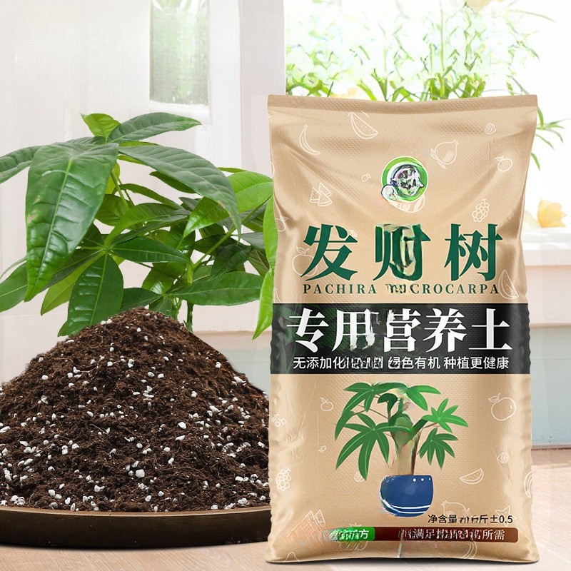 发财树土营养土花土发财树肥料肥土家用盆栽绿植种植土壤