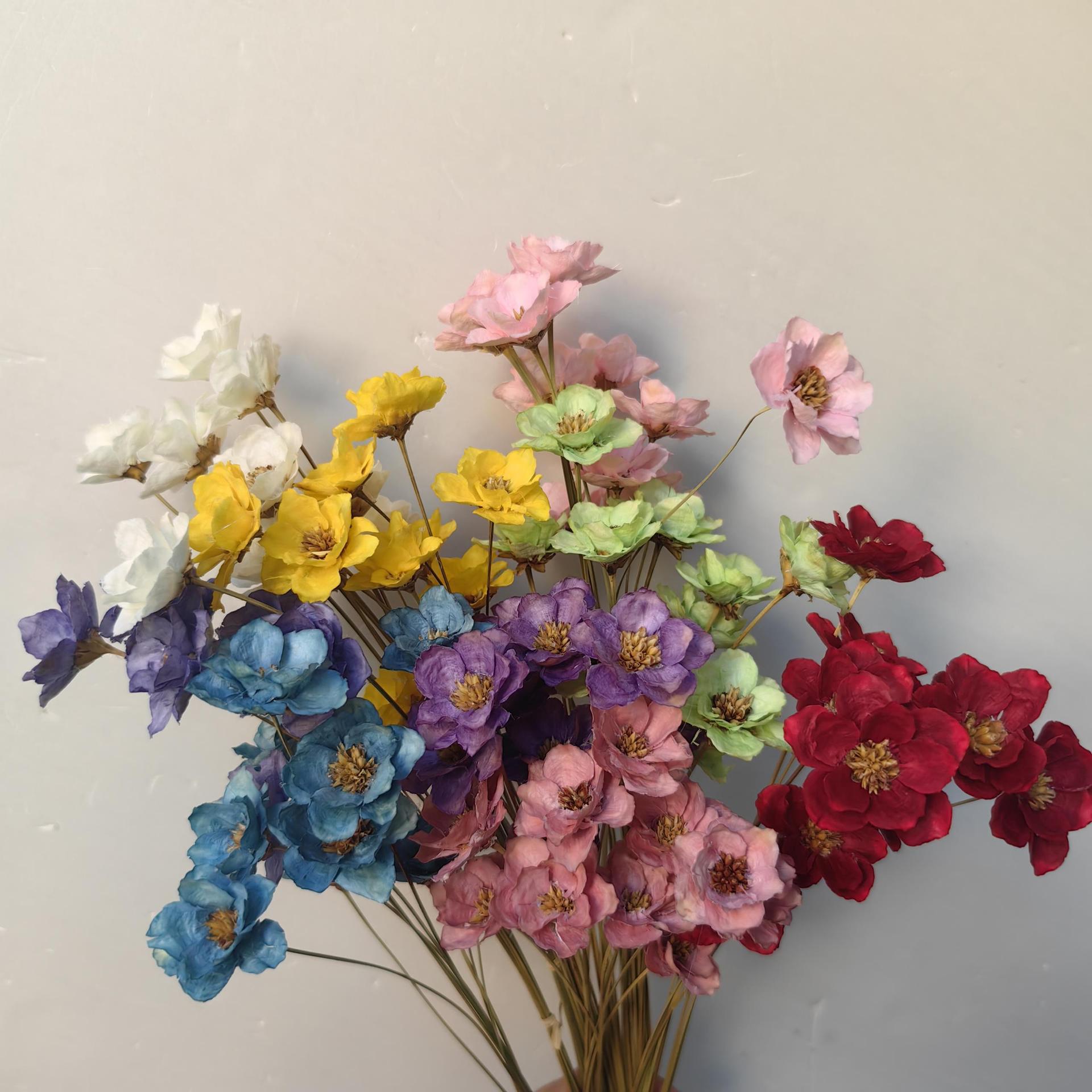 【银铃花 】小梅花小山花果壳草粘花 手工艺术小清新干花燕子花批
