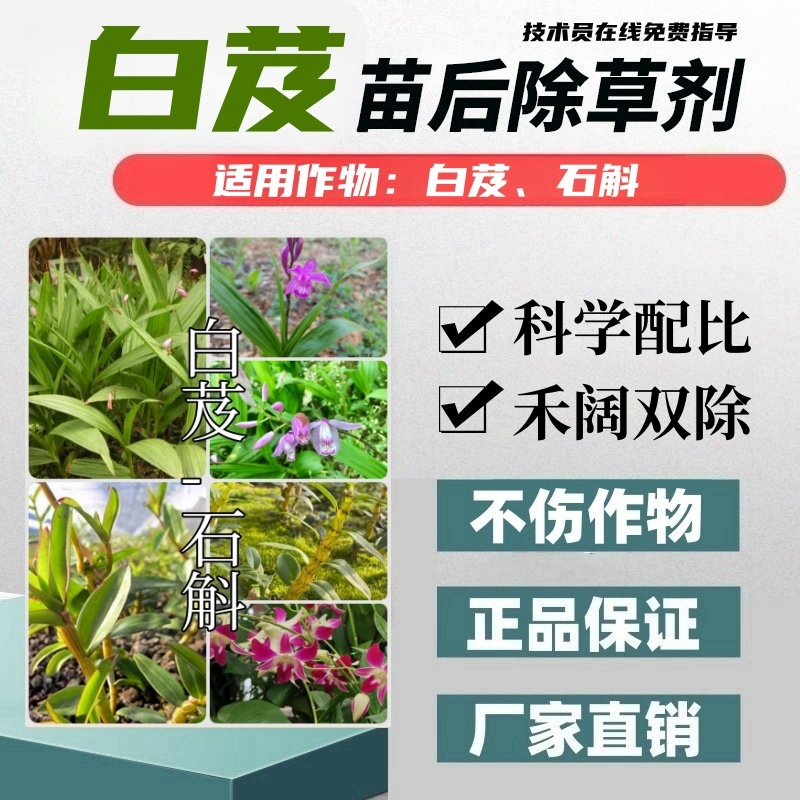 白芨石斛除草剂禾阔双除不伤苗