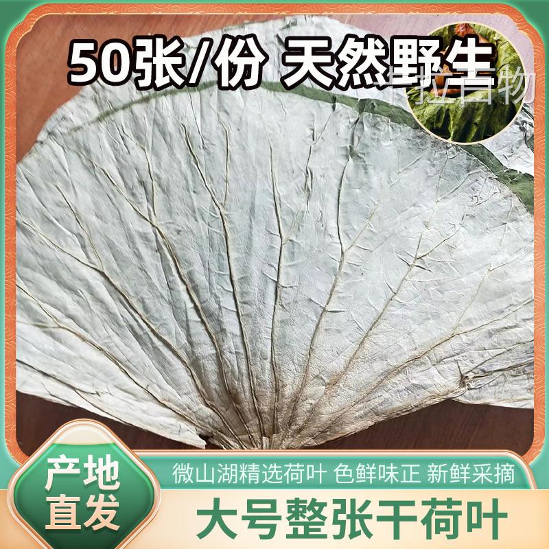 新鲜包糯米鸡的荷叶无硫天然干荷叶片特大号整张32cm-40cm50张包