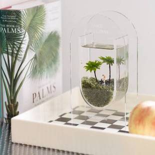 风光作物度假海岛植物创意苔藓微景办公室情绪生态瓶六一礼物