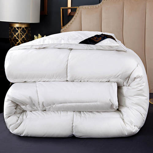 白色酒店宾馆民宿被芯春秋冬2m