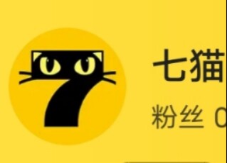 七猫免费小说纯净版会员解锁2099年全部解锁无广告，实则永久解锁高性价比高么？
