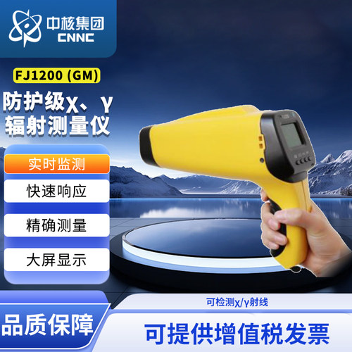 中辐核仪FJ1200（GM）防护级