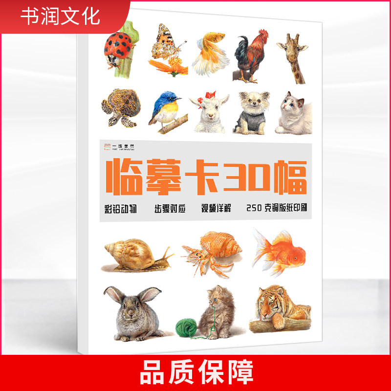 彩铅动物临摹卡30幅 2022一线彩铅高清卡片彩色铅笔手绘画入门练习卡