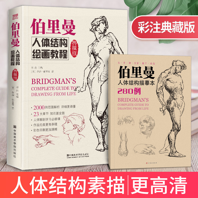 典藏版伯里人体结构绘画教程