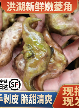 洪湖菱角脆嫩爽口甘甜顺丰包邮