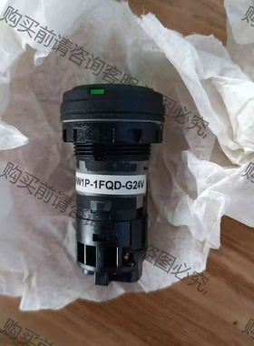 全新原装进口IDEC 绿色指示灯HW1P-1FQD-G24V 议价产品 原装拆机