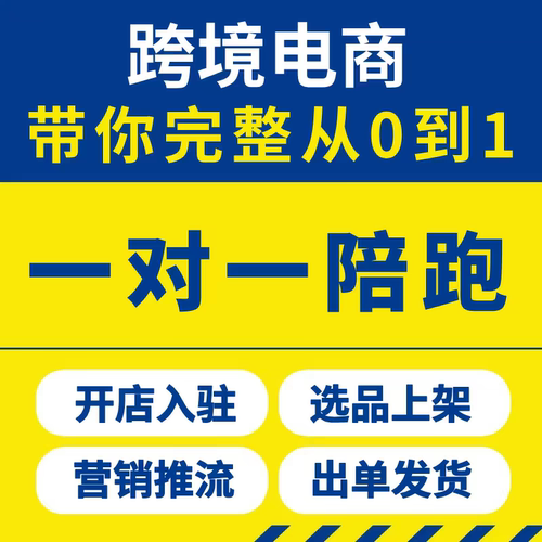 东南亚出海跨境本土电商运营tk店铺语音远程教学一对一陪跑