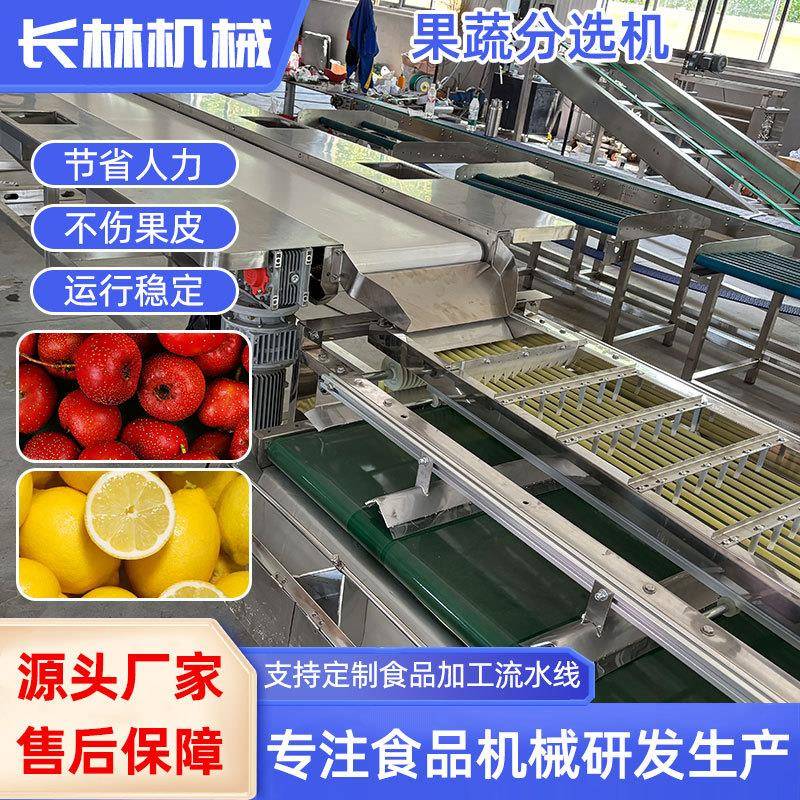 商用核桃选果机 红枣山楂机器筛选分选机 油桃柠檬分级机设备