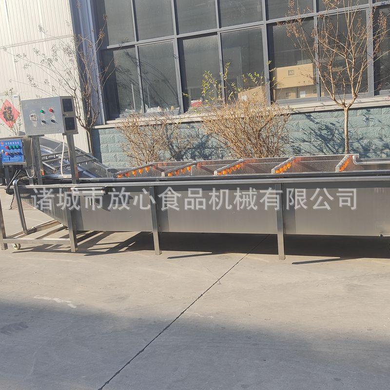 黄豆芽清洗机 蔬菜清洗机价格 sus304不锈钢蔬菜气泡清洗机