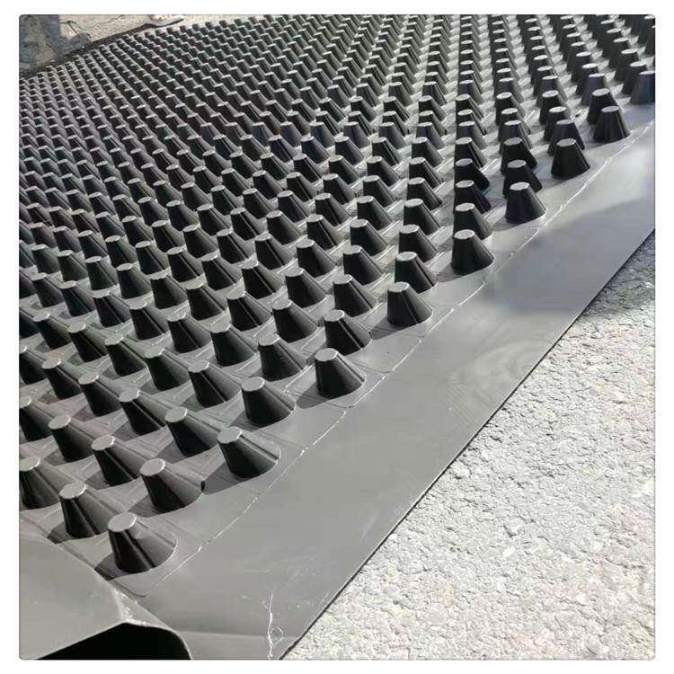 地下室防水卷材排水板楼顶花园绿化种植阻根板黑色抗压HDPE防渗板