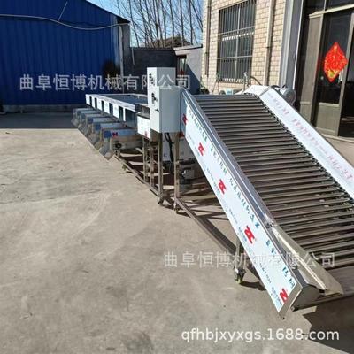全自动滚杠式洋葱分选机 大型草莓拣选机器 不锈钢苹果分果设备