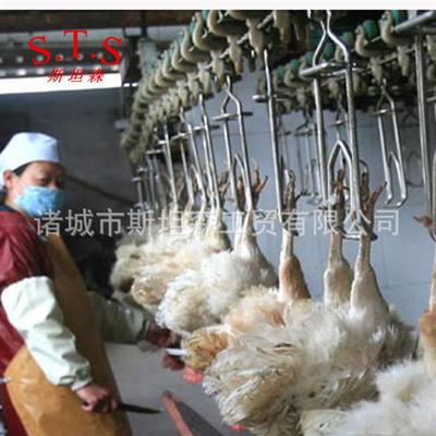 H鸡宰杀脱毛效果好的家禽屠宰设备厂家 杀鸡设备 鸡宰杀流水线