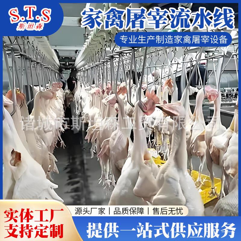 817三黄鸡蛋鸡自动宰杀流水线设备 家禽屠宰流水线设备自动鸡屠宰