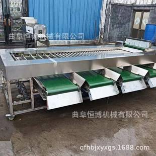 多功能草莓分果机鹌鹑蛋筛选机 商用千禧果分选机 工业土豆分级机