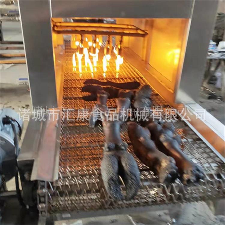 生产鸡翅喷毛机 双层网带猪皮烧毛机 猪尾巴烤毛机 价格优惠