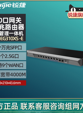 Ruijie锐捷睿易万兆路由器2.5G网口VPN网关RG-EG310XS-E 标准机架式4000M 2个万兆SFP口4个2.5G电口