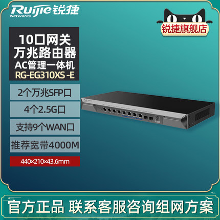 Ruijie锐捷睿易万兆路由器2.5G网口VPN网关RG-EG310XS-E 标准机架式4000M 2个万兆SFP口4个2.5G电口