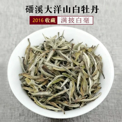 2016年白牡丹福鼎白茶老树白牡丹