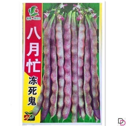 八月忙冻死鬼豆角种子耐