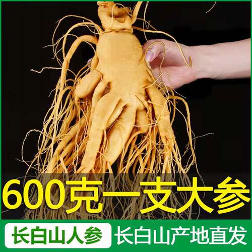 新鲜人参长白山鲜参保鲜参泡酒煲汤高品质东北特产滋补养生专用参