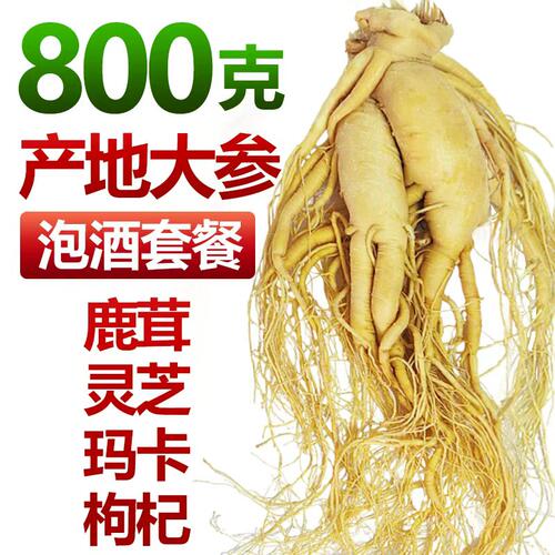 长白山整枝鲜参煲汤泡酒专用人参