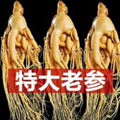 特大人参长白山保鲜参高龄吉林人参白参新鲜人参泡酒专用东北特产