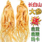 长白山正宗鲜人参煲汤泡酒专用人参高品质吉林园参东北特产地直发