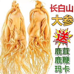 长白山正宗鲜人参煲汤泡酒专用人参高品质吉林园参东北特产地直发