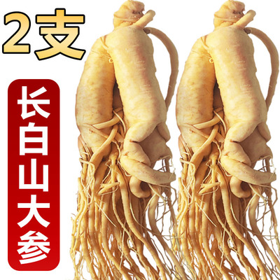 500g长白山人参鲜人参煲汤泡酒