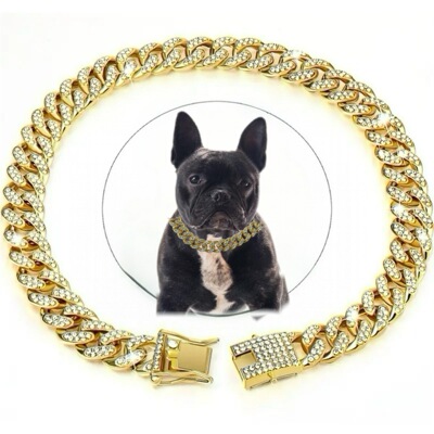 1新款宠物狗项圈项链镶满钻古巴链狗链狗项圈锁扣金色银色狗链